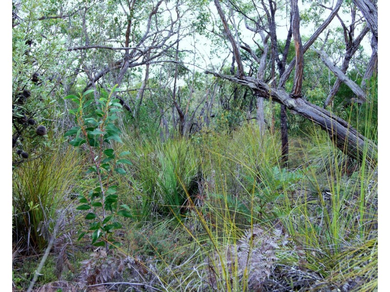 Lot 636 Thomas Road, Avenue Range SA 5273