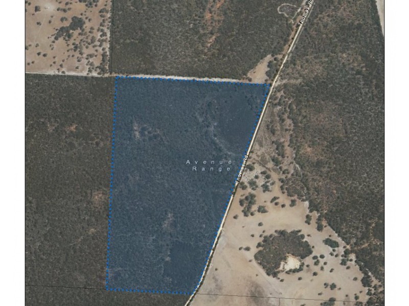 Lot 636 Thomas Road, Avenue Range SA 5273