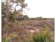 Lot 636 Thomas Road, Avenue Range SA 5273