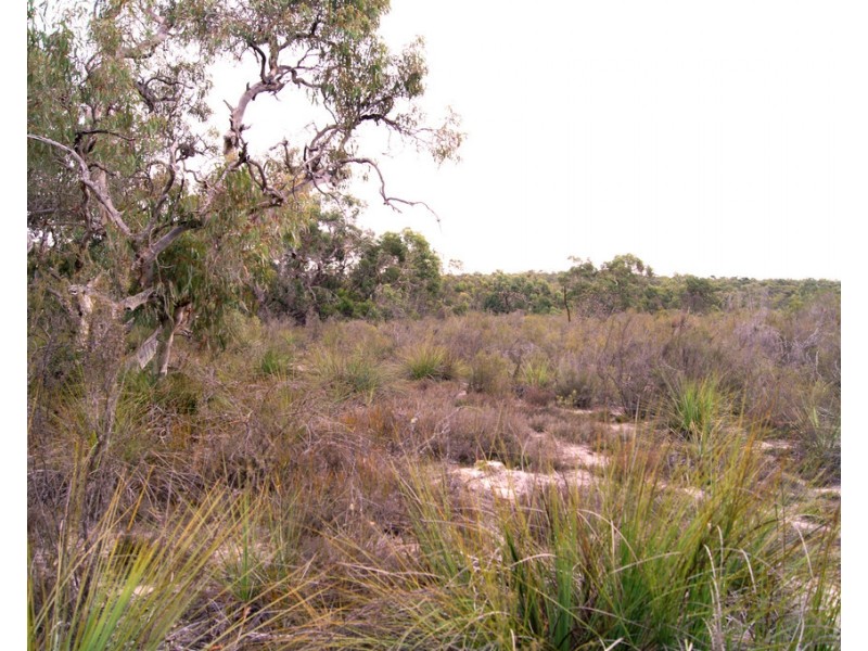 Lot 636 Thomas Road, Avenue Range SA 5273
