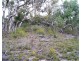 Lot 636 Thomas Road, Avenue Range SA 5273