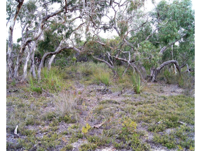 Lot 636 Thomas Road, Avenue Range SA 5273