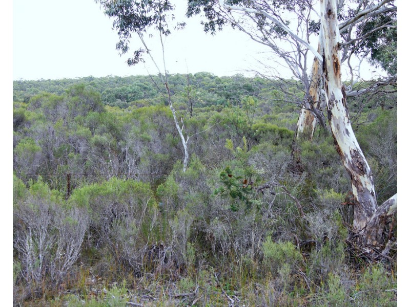 Lot 636 Thomas Road, Avenue Range SA 5273