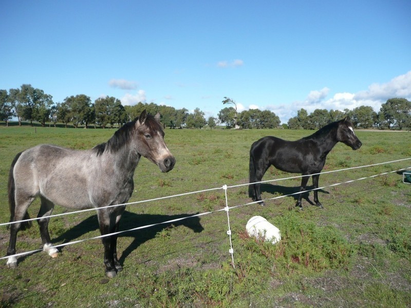 Lot 2 Cooke Street, Kingston Se SA 5275