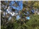 Lot 4 Avenue Range Road, Reedy Creek SA 5275