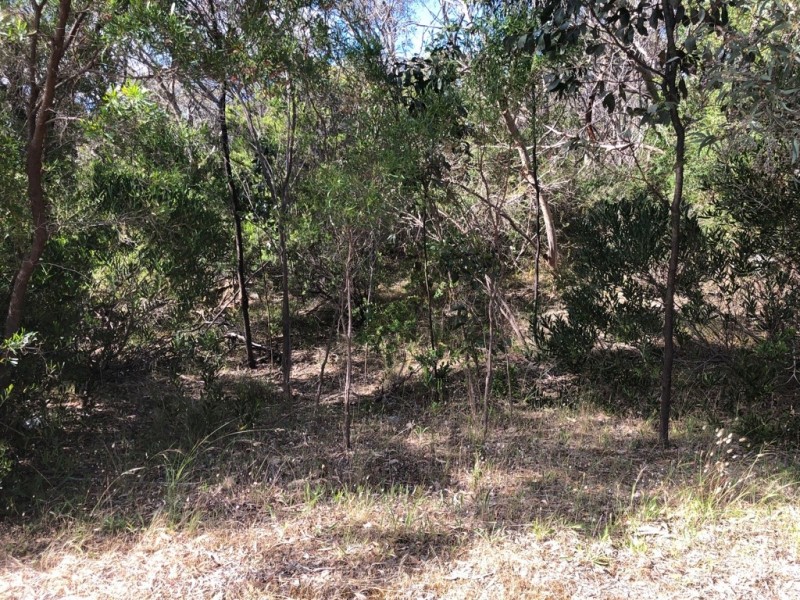 Lot 4 Avenue Range Road, Reedy Creek SA 5275