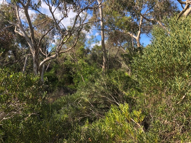 Lot 4 Avenue Range Road, Reedy Creek SA 5275