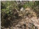 Lot 4 Avenue Range Road, Reedy Creek SA 5275
