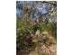 Lot 4 Avenue Range Road, Reedy Creek SA 5275