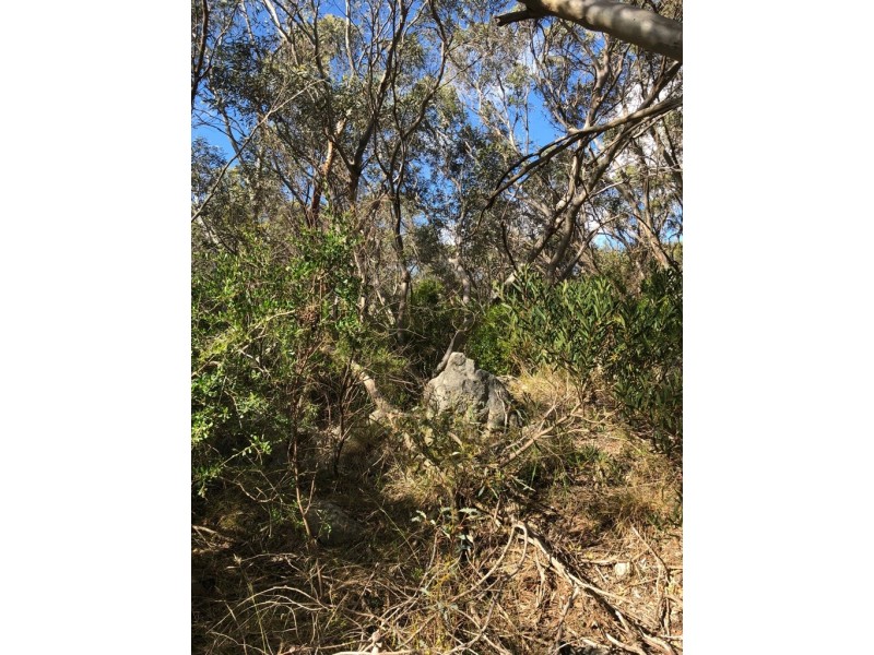 Lot 4 Avenue Range Road, Reedy Creek SA 5275