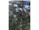 Lot 4 Avenue Range Road, Reedy Creek SA 5275