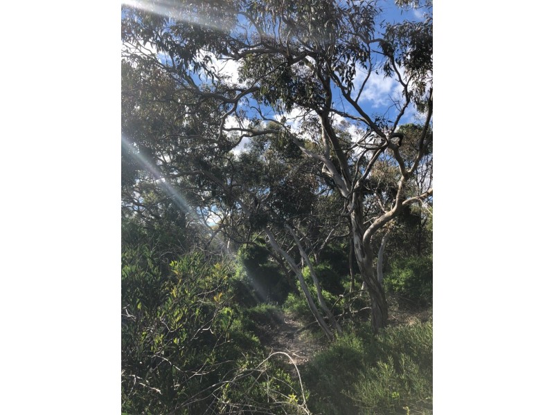Lot 4 Avenue Range Road, Reedy Creek SA 5275