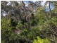 Lot 4 Avenue Range Road, Reedy Creek SA 5275