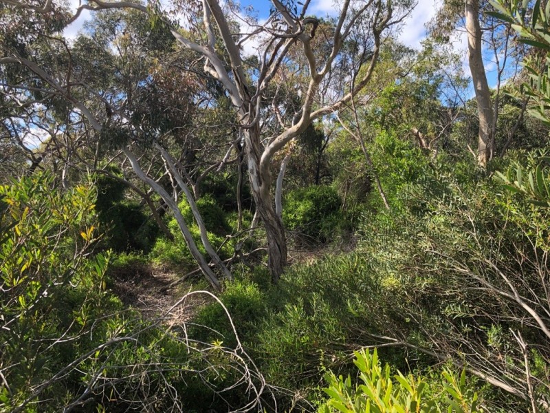 Lot 4 Avenue Range Road, Reedy Creek SA 5275