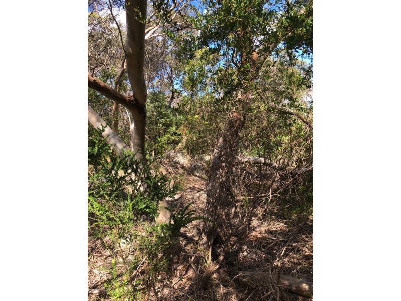 Lot 4 Avenue Range Road, Reedy Creek SA 5275
