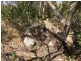 Lot 4 Avenue Range Road, Reedy Creek SA 5275