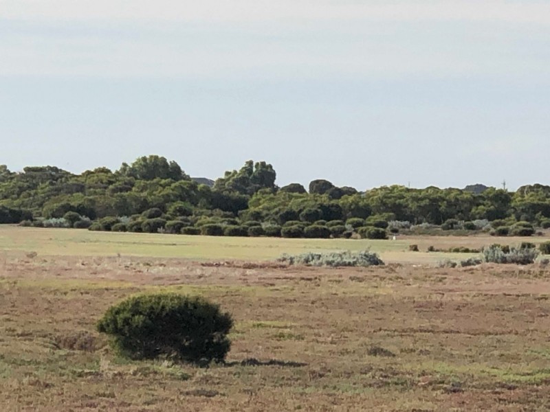 1 Maria Court, Kingston Se SA 5275