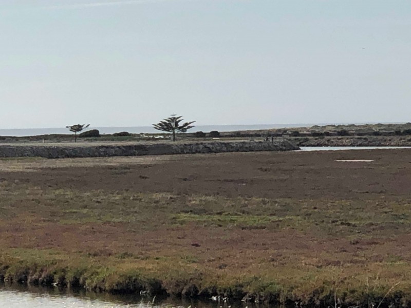 1 Maria Court, Kingston Se SA 5275