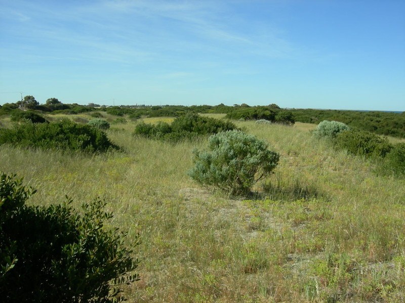 Section 53 Toops North Road, Kingston Se SA 5275