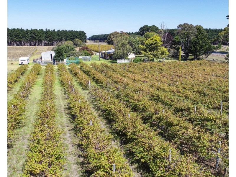 2073 Southern Ports Highway, Wangolina SA 5275