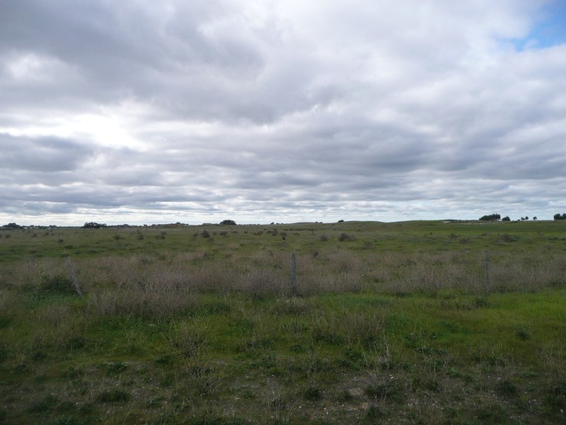 Lot 2 Toop Road, Kingston Se SA 5275