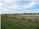 Lot 4 Smiths Lane, Kingston Se SA 5275