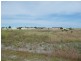 Lot 141 Bullocky Town Road, Kingston Se SA 5275