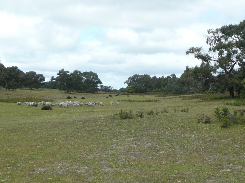 Lot 1 Mailbridge Road, Reedy Creek SA 5275