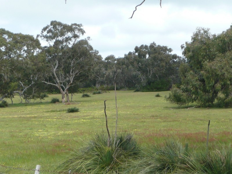 Lot 1 Mailbridge Road, Reedy Creek SA 5275