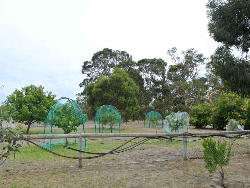 237 Avenue Range Road, Reedy Creek, Kingston Se SA 5275