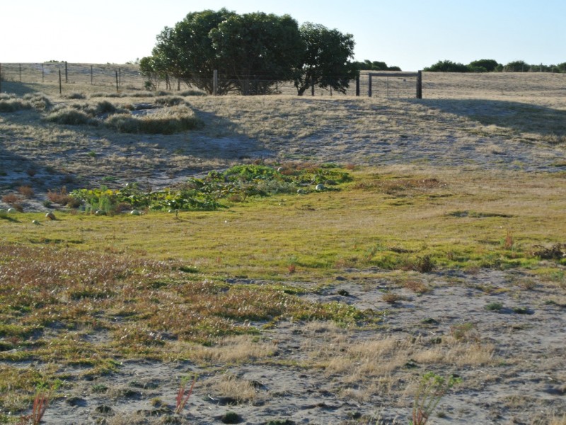 3 Toop North Road, Kingston Se SA 5275