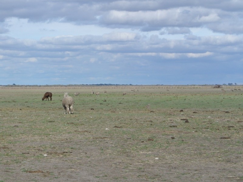 239 Smiths Lane, Kingston Se SA 5275