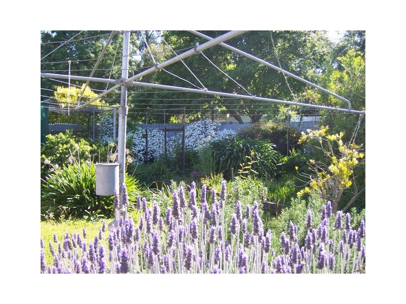 13 Wattle Street, Lobethal SA 5241