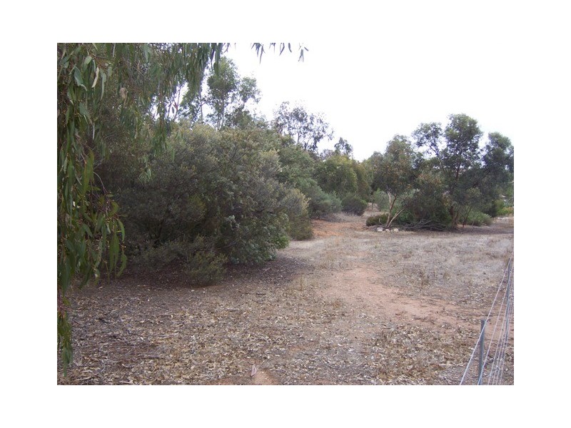 Lot 718 Young Road, Kanmantoo SA 5252