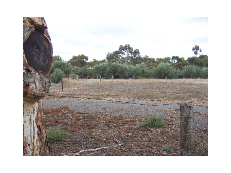 Lot 719 Cook Street, Kanmantoo SA 5252