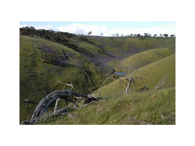 Sect 2005 Range Road, Rockleigh SA 5254