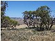 Sect 2005 Range Road, Rockleigh SA 5254