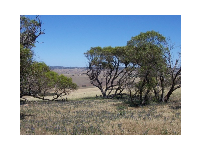 Sect 2005 Range Road, Rockleigh SA 5254