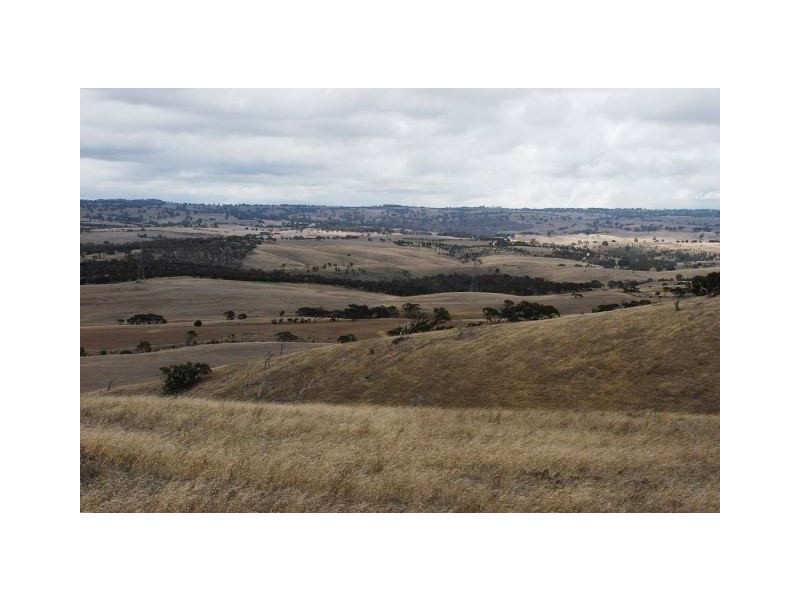 Sect 2005 Range Road, Rockleigh SA 5254