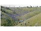 Sect 2005 Range Road, Rockleigh SA 5254