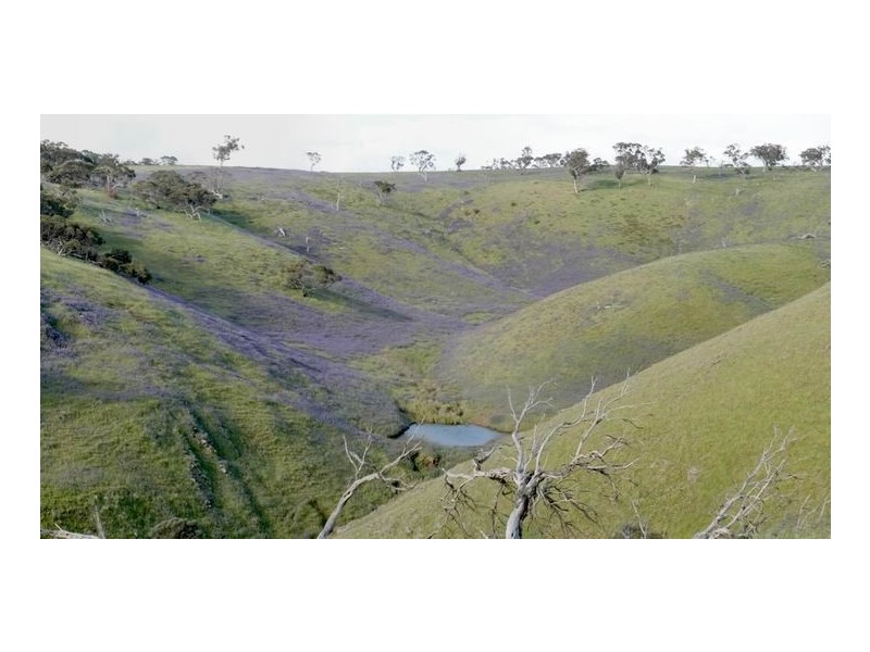 Sect 2005 Range Road, Rockleigh SA 5254