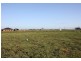 Lot 736 Riley Road, Wellington East SA 5259