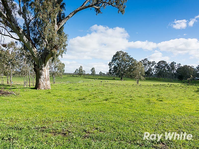 1314 Torrens Valley Road, Birdwood SA 5234