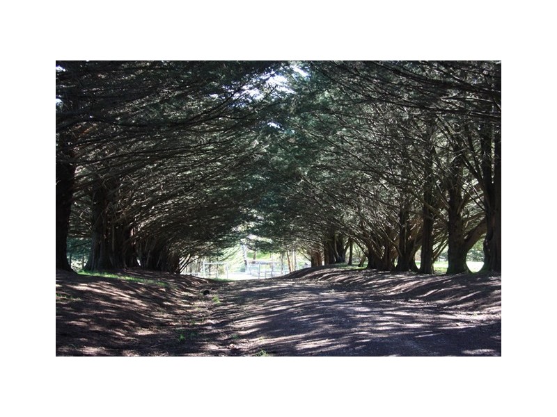 Lot 1 Rowe Road, Echunga SA 5153