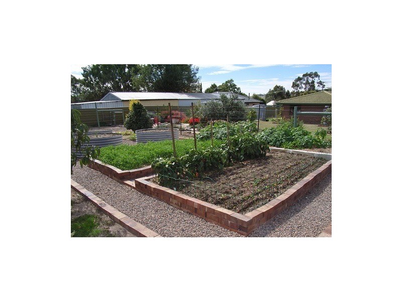 19 Jervois Street, Nairne SA 5252
