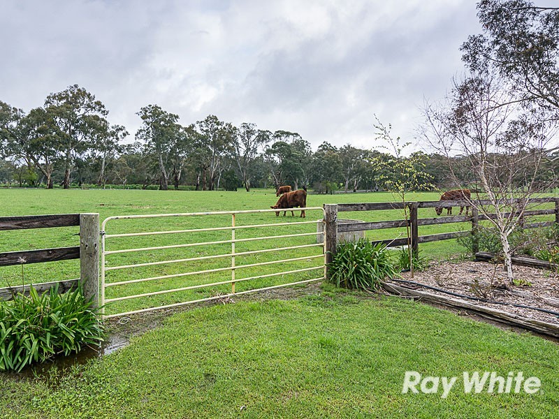 9 Cobbledick Road, Echunga SA 5153