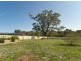Mount Barker SA 5251