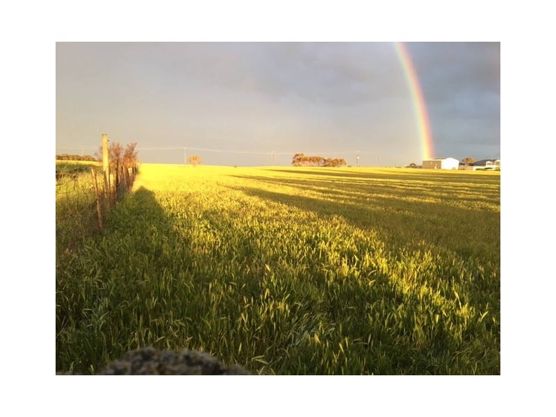 Lot 152 Mannum Rd, Murray Bridge SA 5253