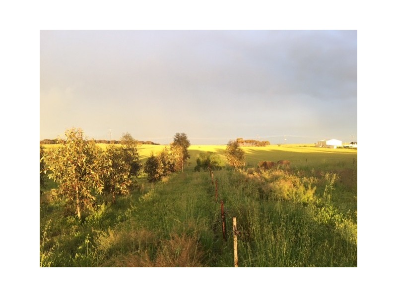 Lot 152 Mannum Rd, Murray Bridge SA 5253