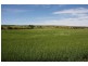 116 Bremer Range Road, Hartley SA 5255